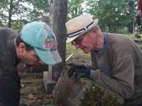 IMG-20221008-WA0007