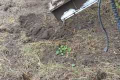 IMG-20210929-WA0002