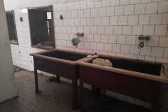 IMG-20210722-WA0004