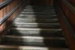 IMG-20210722-WA0013