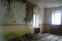 IMG-20211229-WA0001