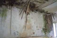 IMG-20211229-WA0005