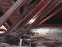 IMG-20240520-WA0000