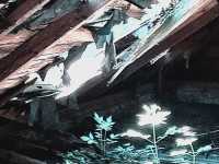 IMG-20240520-WA0011