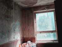 IMG-20240520-WA0014