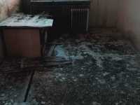 IMG-20240520-WA0015
