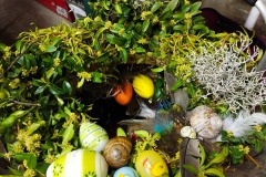 IMG_20220409_191856
